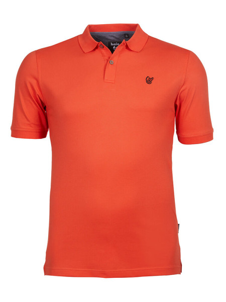 Polo HAJO